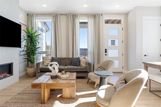 living room featuring light hardwood / wood-style floors