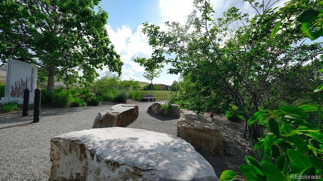 10328 Bluffmont Dr, Lone Tree, CO 80124 - view of patio