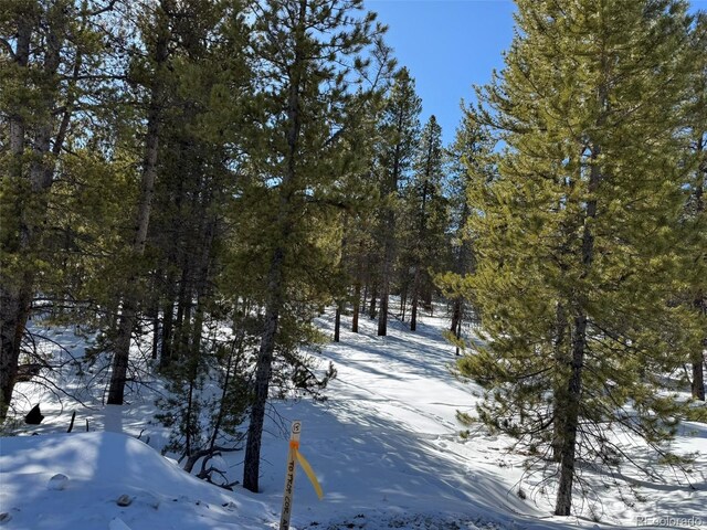 322 Fir Dr, Twin Lakes, CO 80461