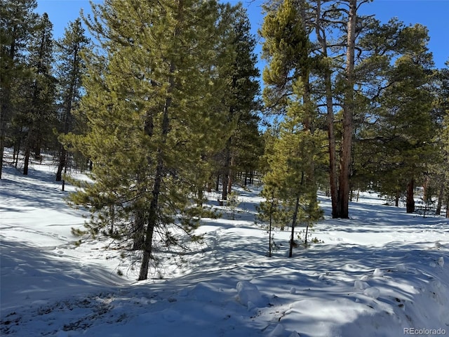 322 Fir Dr, Twin Lakes, CO 80461