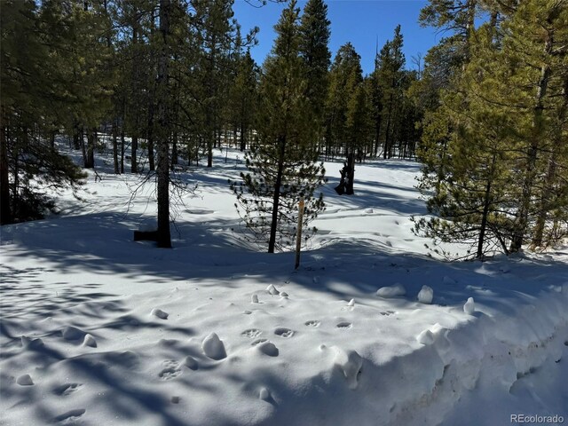 322 Fir Dr, Twin Lakes, CO 80461
