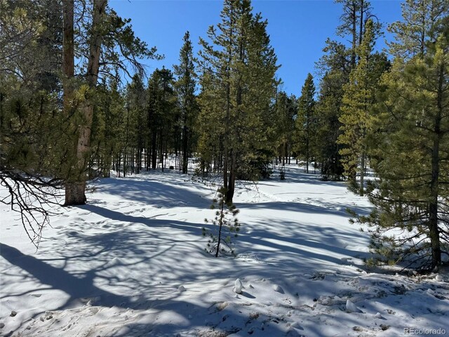 322 Fir Dr, Twin Lakes, CO 80461