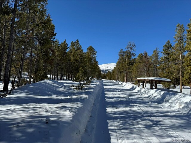 322 Fir Dr, Twin Lakes, CO 80461