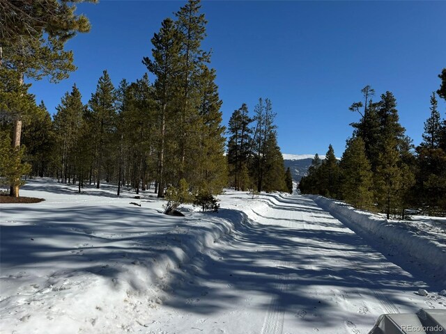 322 Fir Dr, Twin Lakes, CO 80461
