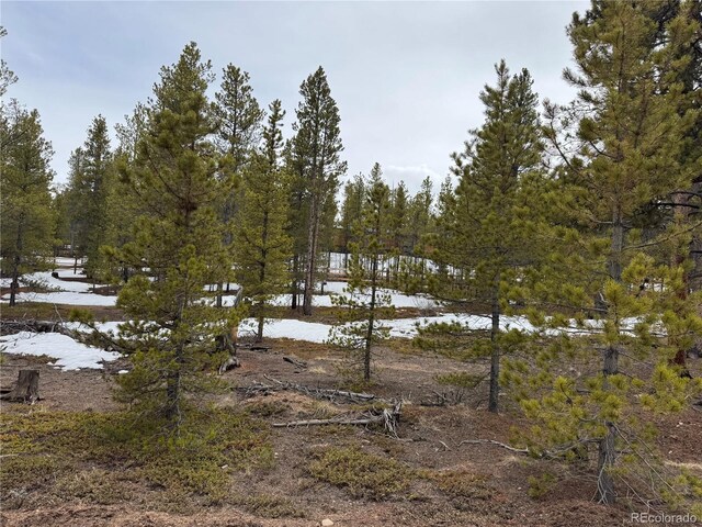 322 Fir Dr, Twin Lakes, CO 80461
