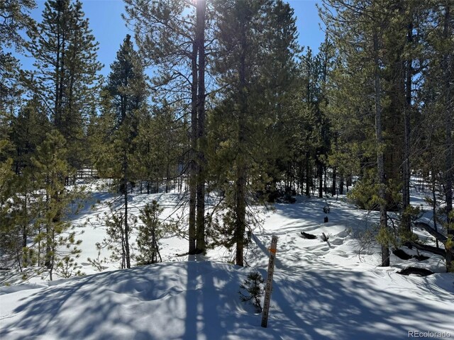 322 Fir Dr, Twin Lakes, CO 80461