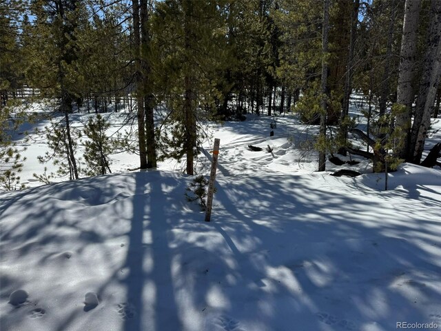 322 Fir Dr, Twin Lakes, CO 80461