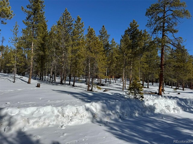 322 Fir Dr, Twin Lakes, CO 80461