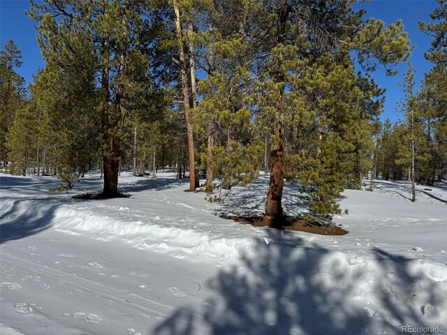 322 Fir Dr, Twin Lakes, CO 80461