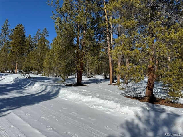 322 Fir Dr, Twin Lakes, CO 80461
