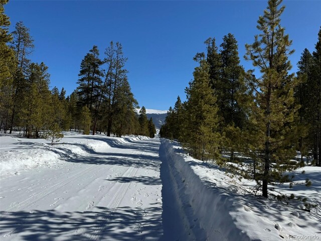 322 Fir Dr, Twin Lakes, CO 80461
