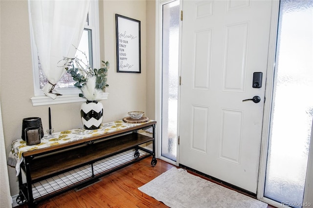 foyer with hardwood / wood-style floors and a wealth of natural light