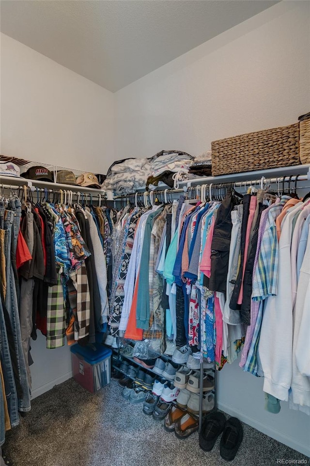 spacious closet featuring carpet