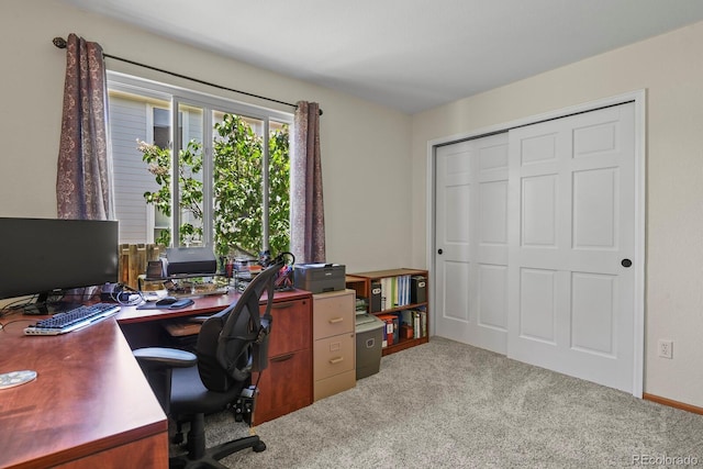 2146 S Ellis Ct, Lakewood, CO 80228 - office featuring carpet flooring