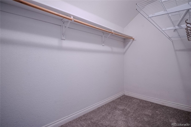 131 Fox St, Denver, CO 80223 - walk in closet with carpet floors