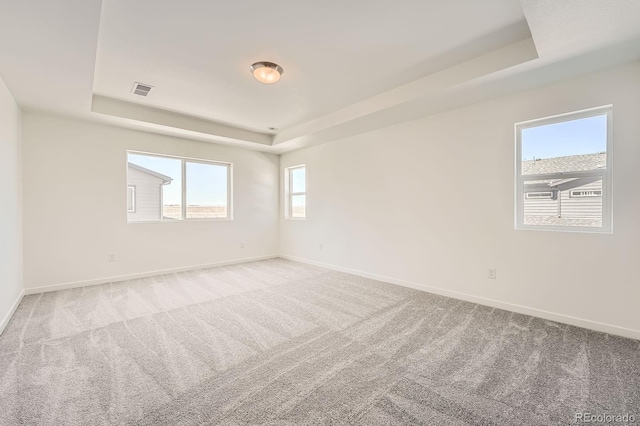 1290 S Algonquian St, Aurora, CO 80018 - unfurnished room with a raised ceiling, carpet, and baseboards