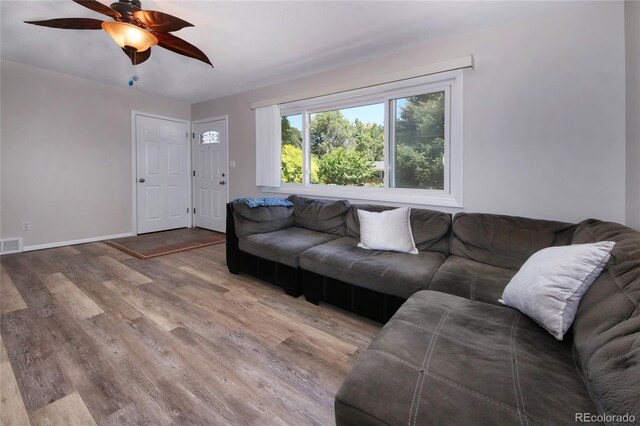 3803 Encino St, Colorado Springs, CO 80918 - photo 10