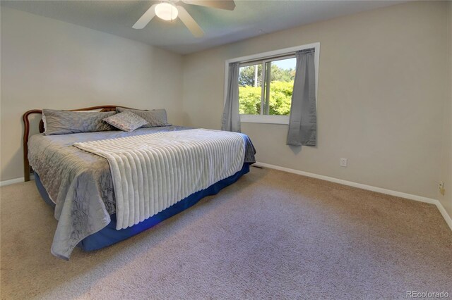 3803 Encino St, Colorado Springs, CO 80918 - photo 11