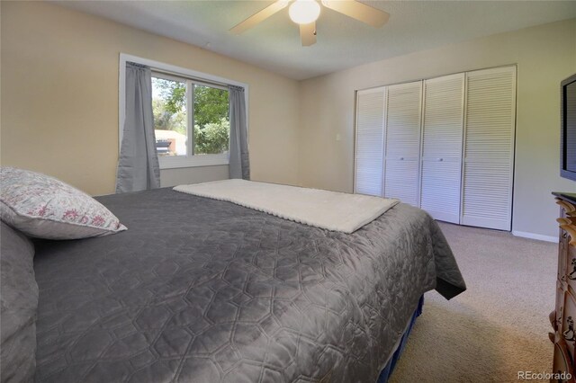 3803 Encino St, Colorado Springs, CO 80918 - photo 13
