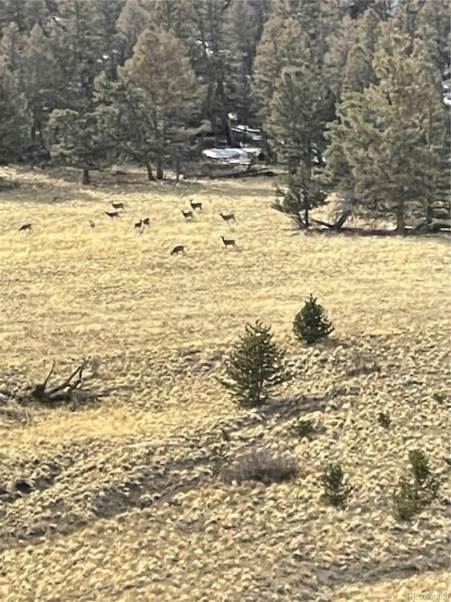 5123 Bar D Rd, Como, CO 80432 - photo 4