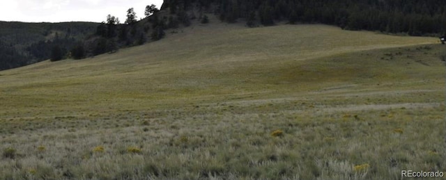 5123 Bar D Rd, Como, CO 80432 - photo 2