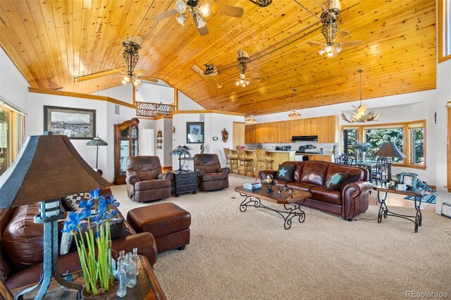 30999 Magic Dog Cir, Kiowa, CO 80117 - photo 6