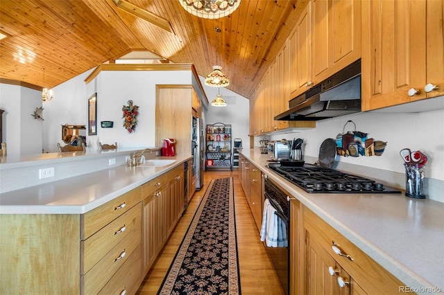 30999 Magic Dog Cir, Kiowa, CO 80117 - photo 12