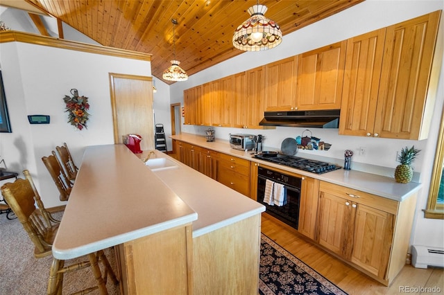 30999 Magic Dog Cir, Kiowa, CO 80117 - photo 13