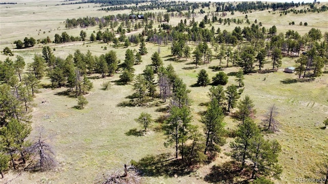 32041 Cattle Cir, Ramah, CO 80832