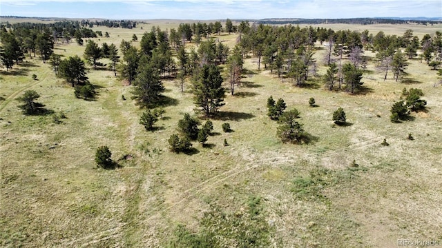 32041 Cattle Cir, Ramah, CO 80832