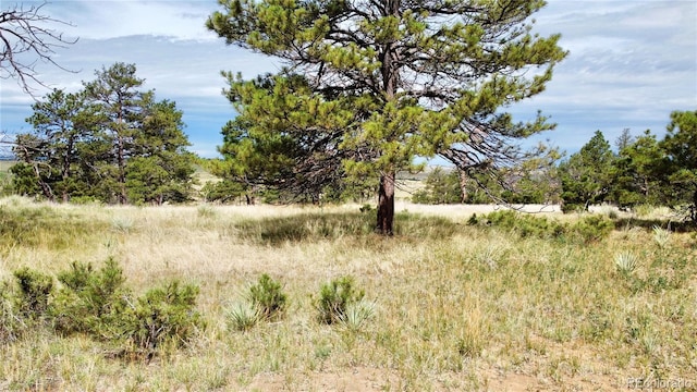 32041 Cattle Cir, Ramah, CO 80832