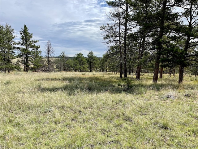32041 Cattle Cir, Ramah, CO 80832