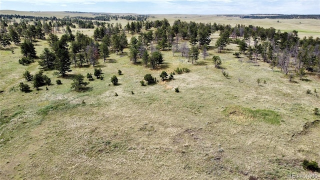 32041 Cattle Cir, Ramah, CO 80832