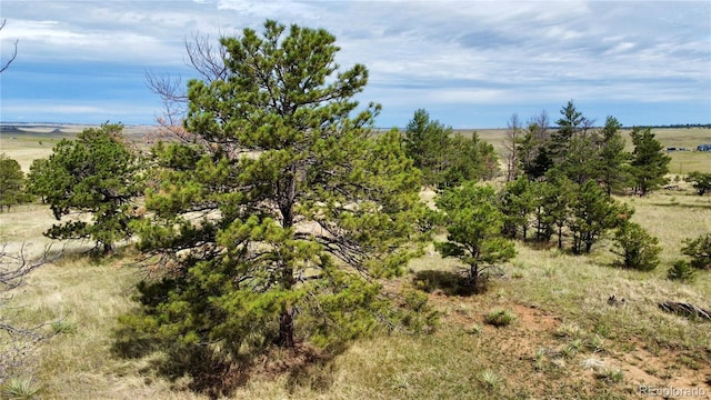 32041 Cattle Cir, Ramah, CO 80832