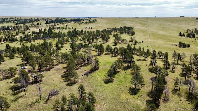 32041 Cattle Cir, Ramah, CO 80832