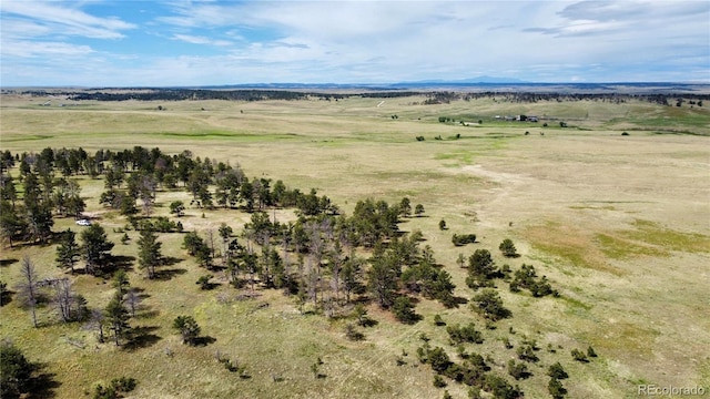 32041 Cattle Cir, Ramah, CO 80832