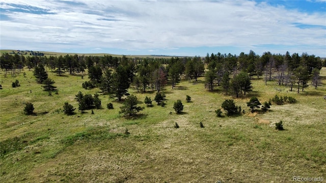 32041 Cattle Cir, Ramah, CO 80832