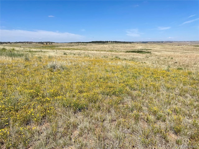 32041 Cattle Cir, Ramah, CO 80832