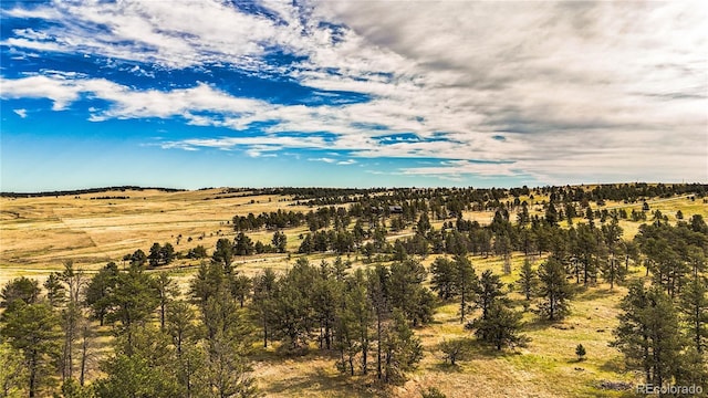 32041 Cattle Cir, Ramah, CO 80832