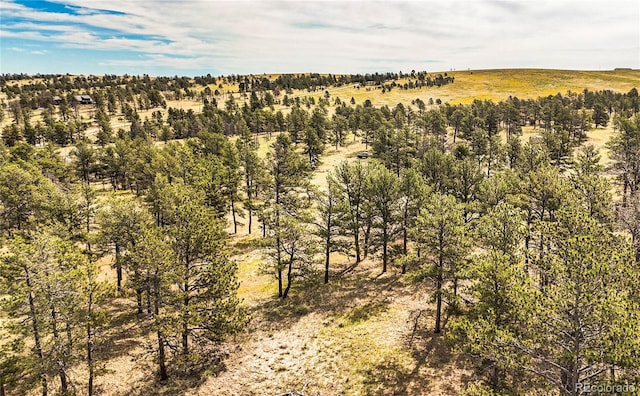 32041 Cattle Cir, Ramah, CO 80832