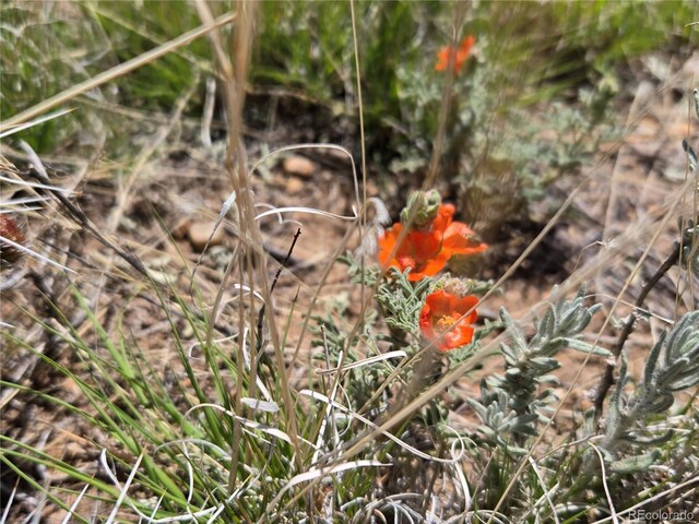 S 8th St, Blanca, CO 81133 - photo 3