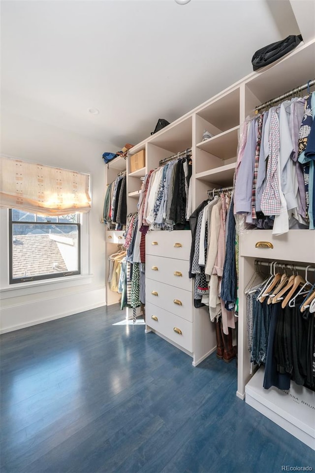 walk in closet featuring dark hardwood / wood-style flooring