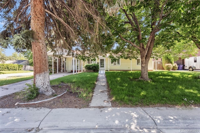 4401 Highline Pl, Denver, CO 80222 - view of property hidden behind natural elements featuring a front yard and a carport