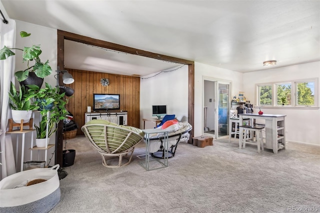 4401 Highline Pl, Denver, CO 80222 - carpeted living room with wood walls