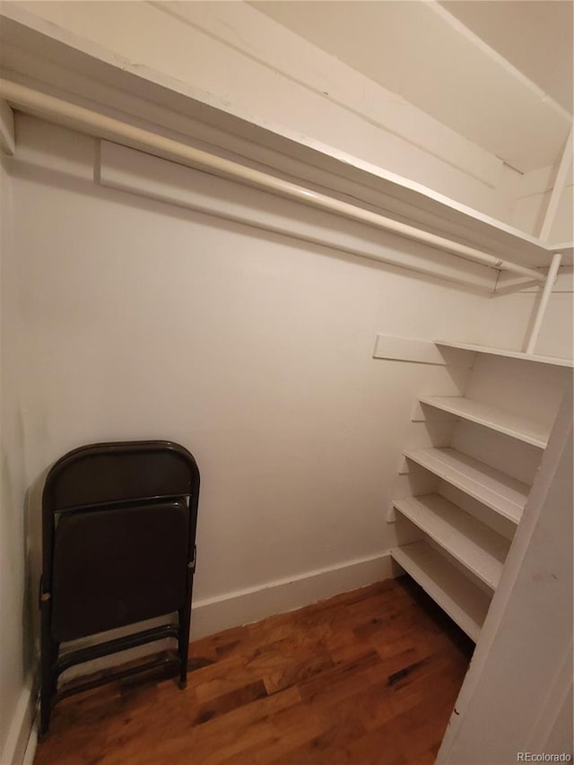 spacious closet featuring dark hardwood / wood-style floors