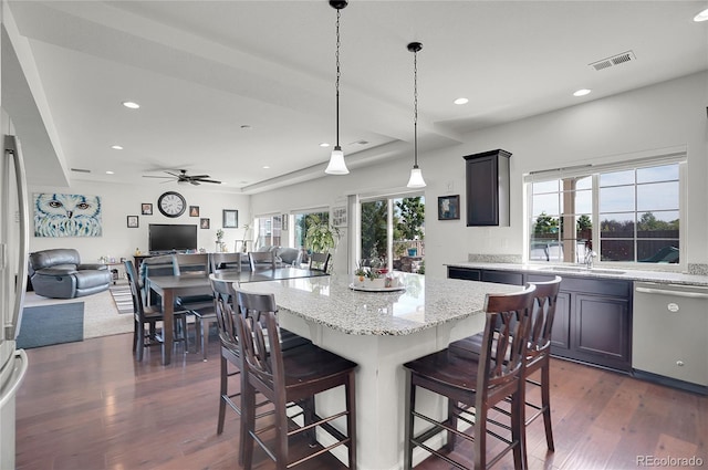 kitchen featuring stainless steel dishwasher, a healthy amount of sunlight, and dark wood-type flooring