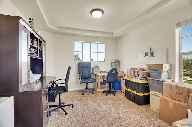 carpeted office space featuring a tray ceiling