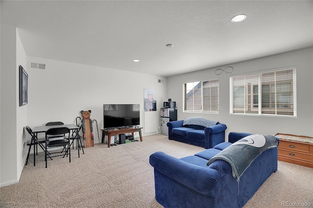 carpeted living room with a textured ceiling