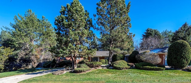 view of front of house featuring driveway and a front yard