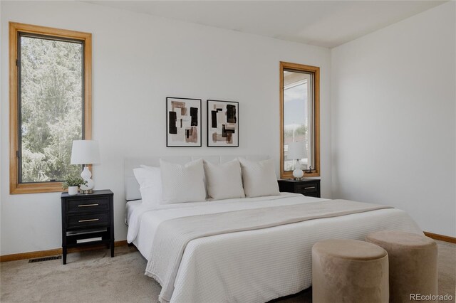 1131 N 4th St, Johnstown, CO 80534 - bedroom featuring carpet floors and multiple windows